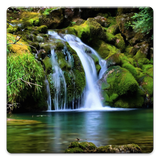 com.sbardyuk.naturephotos