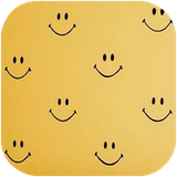 shafagh.shadi