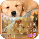 com.ikeyboard.theme.dynamic_sleeping_puppy