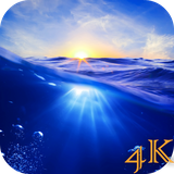 com.lyx.oceanlivewallpaper4k
