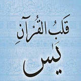 ir.shkak.yasin