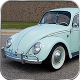 com.cs.beetle