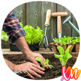 com.Vegetable.Gardening.Planting.Recipes.Tips