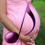 com.assets.effective.mozartpregnant