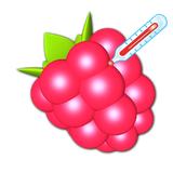 de.eidottermihi.raspicheck