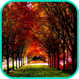 com.app3dwallpaperhd.autumnwallpaper