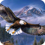 com.wallpaper.eaglewallpaper.wallpaperhd