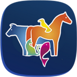 com.edaaam.app