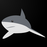 com.iam.wiresharktutorial