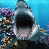 com.freewps.threedsharklivewallpaper