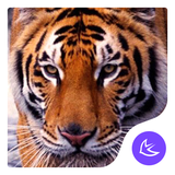 com.apusapps.theme.i_animal_king_5fb94d5be2