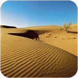 speed.kavir