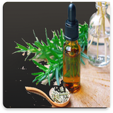 com.pishtaznovin_ht.toledeesansehaegeyahe