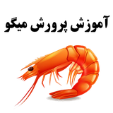com.magicsoftwaregroup.shrimpfarming