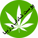 pshvziba.pshvziba37