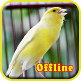 com.althaflabs.kicau.master.burung.kenari.ngeroll.suara.burung.kenari.mp3