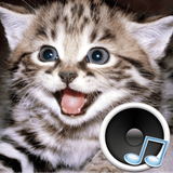 com.yamilab.animalsounds