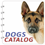 ir.rvh.dogscatalog