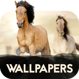 com.david_wallpapers.horses