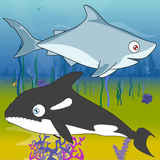 com.kgtasarim.SharkFeed