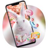 theme.flower.plant.rose.flowers.white.rabbit.spirit.wallpaper