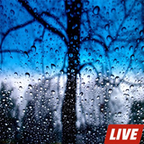 com.Rain.RainLiveWallpapers
