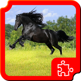 air.com.dimax.puzzles.beautifulhorses