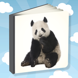 com.tappyhappy.gameforkids