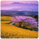 smile.com.AnimeJigsawPuzzles