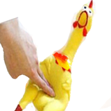 squeaky.chicken.toy