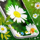 zohani.app.liveplant