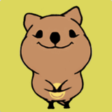 com.ms.quokkaism
