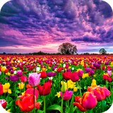 com.acs.flowerfields.free
