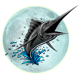 com.rocketmind.nightfishing