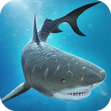 com.br.shark.crocodile.fight