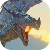 com.TM.DragonSimulator