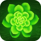 com.Green.wallpaper.image.background.wallpaper
