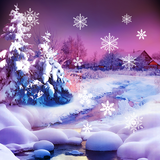 com.blackbirdwallpapers.snowfall