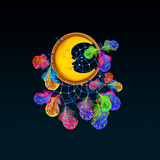 com.blackbirdwallpapers.dreamcatcher