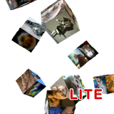 com.makarovsoftware.android.flyingphotoslite