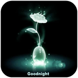 com.kingoapps.ngtgif