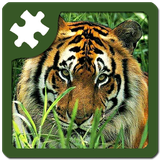 com.madrabbit.wildanimalspuzzle
