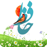 mbm.falhafez