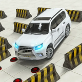 nika.drive.unicar81