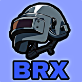 com.brx.ro.ip