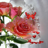 com.dakshapps.pinkrosebutterfly