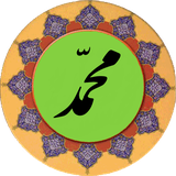 com.mohamad.pishgam.ir