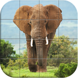 com.style.games.puzzle.wildanimals