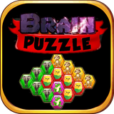 com.saleem.brainpuzzle