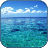 com.foreverwallpaper.oceanLivewallpaper